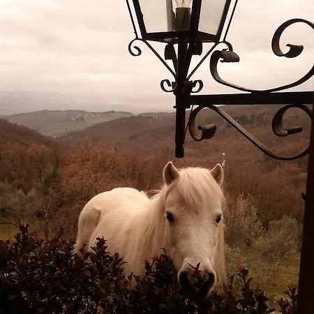 Alloggio per agriturismo Le Capanne *